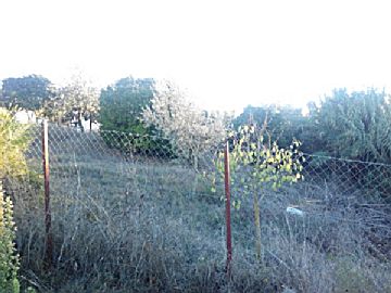 IMG_20151007_190339.jpg Venta de terrenos en Arcos de la Frontera, MESA JARDIN